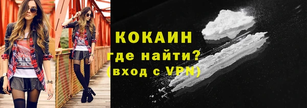 spice Каменка