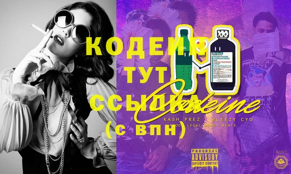 spice Каменка