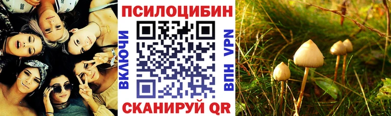 Галлюциногенные грибы MAGIC MUSHROOMS Катав-Ивановск
